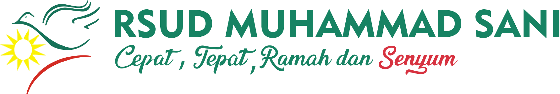 RSUD M Sani